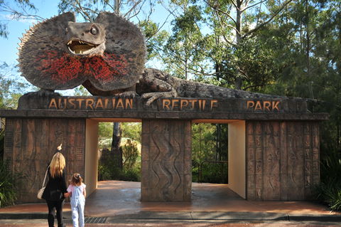 Australian Reptile Park - Accommodation Sunshine Coast 5