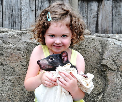 Australian Reptile Park - Accommodation Sunshine Coast 8