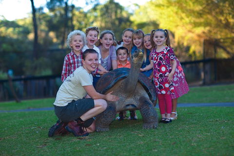Australian Reptile Park - Accommodation Sunshine Coast 11