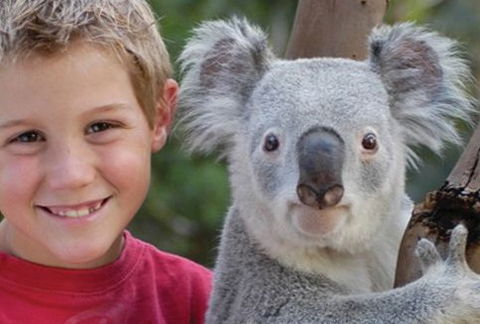 Featherdale Wildlife Park - Accommodation Sunshine Coast 1