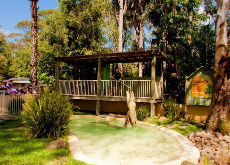 Featherdale Wildlife Park - Accommodation Sunshine Coast 2
