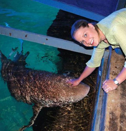 National Zoo & Aquarium - Accommodation Sunshine Coast 7