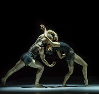 Sydney Dance Company - Accommodation Sunshine Coast