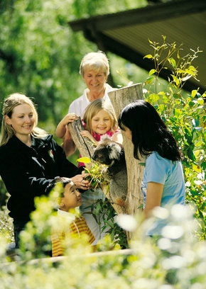 Cleland Wildlife Park - Accommodation Sunshine Coast 5