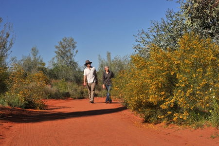 Alice Springs Desert Park - Accommodation Sunshine Coast 3