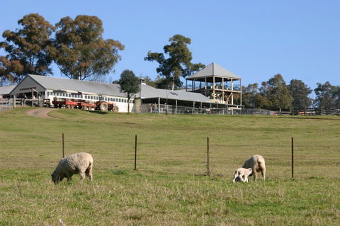 Calmsley Hill City Farm - Accommodation Sunshine Coast 3