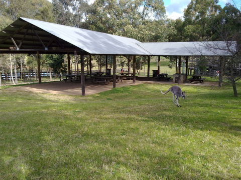 Calmsley Hill City Farm - Accommodation Sunshine Coast 5