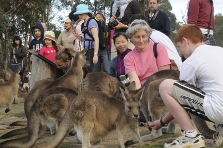 East Coast Natureworld - Accommodation Sunshine Coast 4