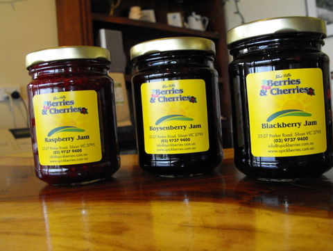 Blue Hills Berries & Cherries - Accommodation Sunshine Coast 1
