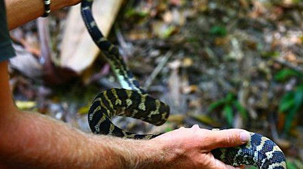 Queensland Day Tours - Accommodation Sunshine Coast 1