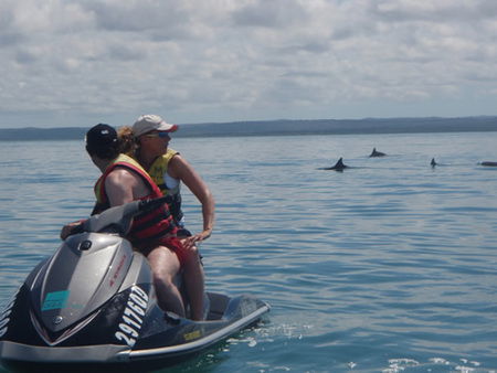Aquavue Cafe Watersports - Accommodation Sunshine Coast 5