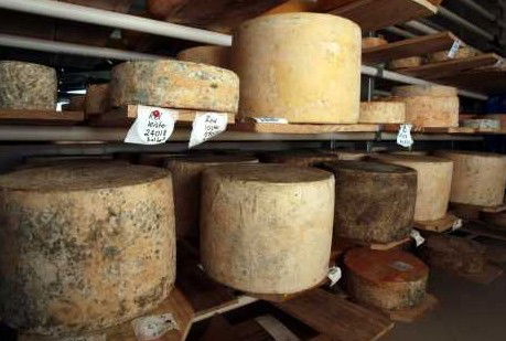 Witches Chase Cheese Co - Accommodation Sunshine Coast 3