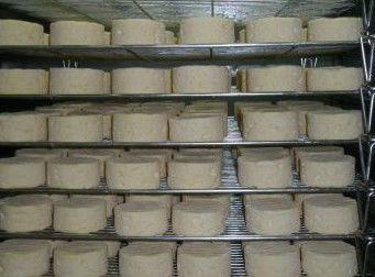 Witches Chase Cheese Co - Accommodation Sunshine Coast 5