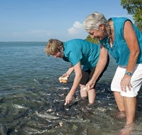 Aquascene Fish Feeding Sanctuary - Accommodation Sunshine Coast
