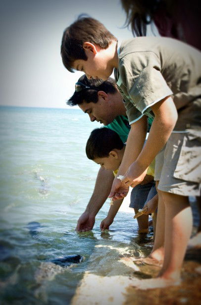 Aquascene Fish Feeding Sanctuary - Accommodation Sunshine Coast 3
