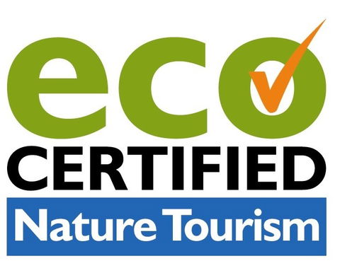 Aquascene Fish Feeding Sanctuary - Accommodation Sunshine Coast 4