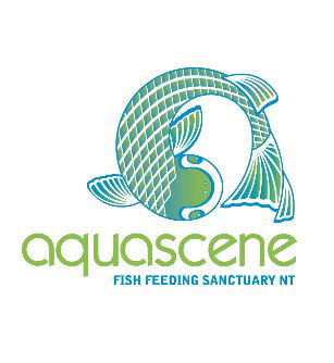 Aquascene Fish Feeding Sanctuary - Accommodation Sunshine Coast 5