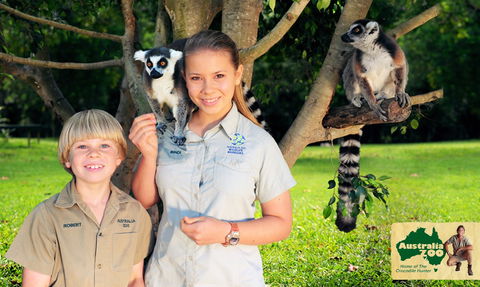 Australia Zoo - Accommodation Sunshine Coast 2