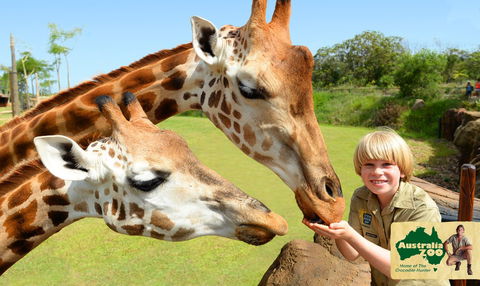 Australia Zoo - Accommodation Sunshine Coast 4