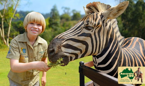 Australia Zoo - Accommodation Sunshine Coast 5