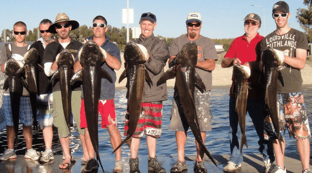 BKs Gold Coast Fishing Charters - Accommodation Sunshine Coast 1