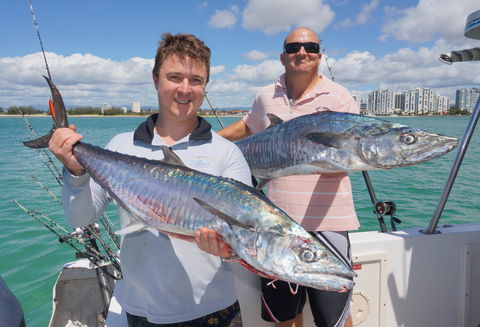 BKs Gold Coast Fishing Charters - Accommodation Sunshine Coast 6