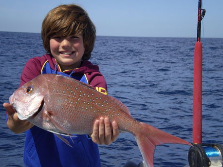 Mills Charters Fishing And Whale Watch Cruises - Accommodation Sunshine Coast 4