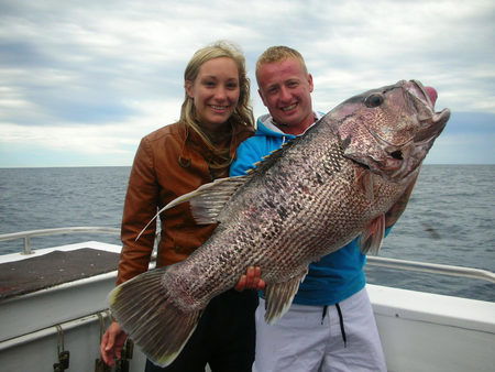 Mills Charters Fishing And Whale Watch Cruises - Accommodation Sunshine Coast 5