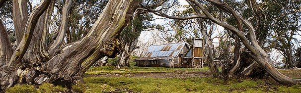 High Country Scenic Tours - Accommodation Sunshine Coast