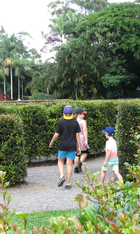 Bellingham Maze - Accommodation Sunshine Coast 2