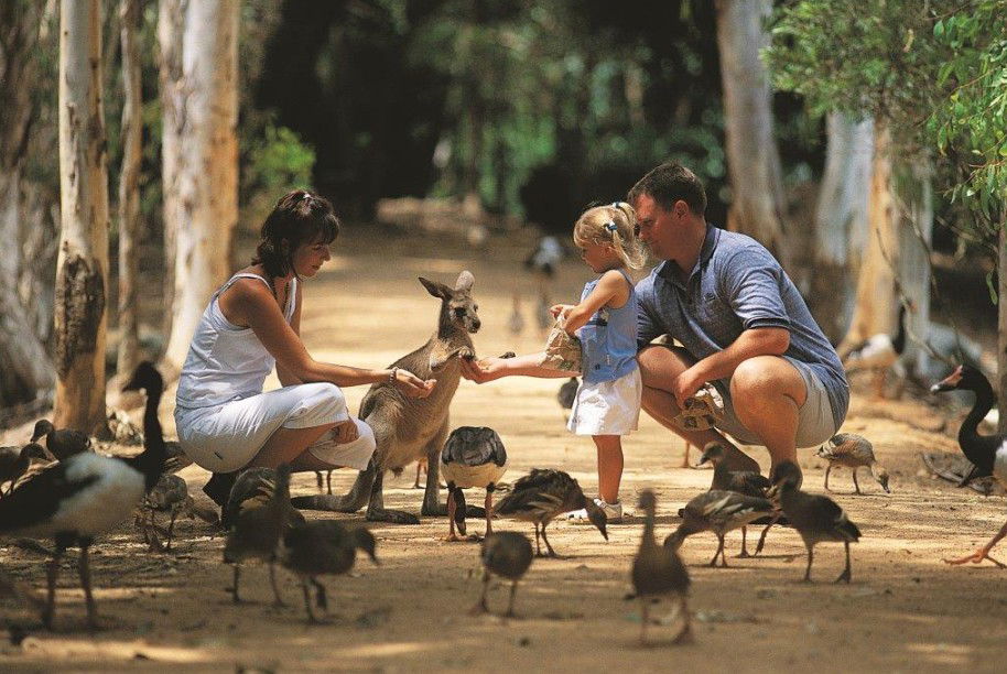 Railway Estate QLD Accommodation Sunshine Coast