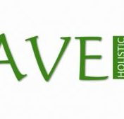 Agave Holistic Day Spa  Beauty - Accommodation Sunshine Coast