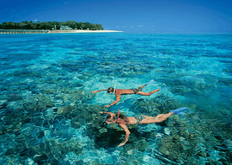 Big Cat Green Island Reef Cruises - Accommodation Sunshine Coast 4