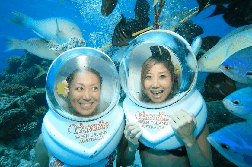 Big Cat Green Island Reef Cruises - Accommodation Sunshine Coast 5