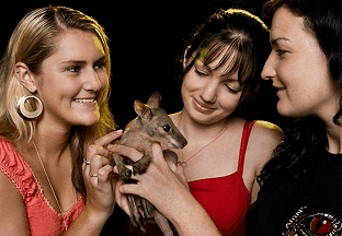 Cairns Night Zoo - Accommodation Sunshine Coast 1
