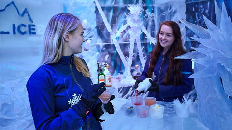 Icebar Melbourne - Accommodation Sunshine Coast 1