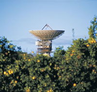 Big Dish - Accommodation Sunshine Coast