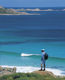 Smiths Beach - Accommodation Sunshine Coast 0