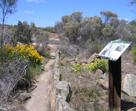 Wongan Hills WA Accommodation Sunshine Coast