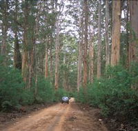 Boranup Drive - Accommodation Sunshine Coast