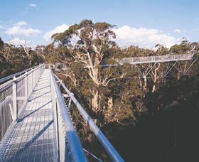 Walpole-Nornalup National Park - Accommodation Sunshine Coast 0