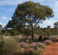 Karlkurla Bushland Park - Accommodation Sunshine Coast