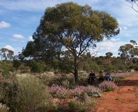 Karlkurla Bushland Park - Accommodation Sunshine Coast 0