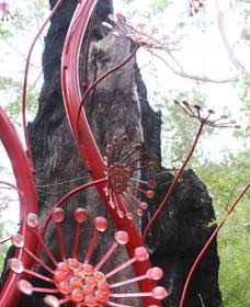 Northcliffe WA Accommodation Sunshine Coast