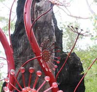 Understory Art In Nature - Accommodation Sunshine Coast