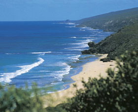 Yallingup Beach - Accommodation Sunshine Coast 0