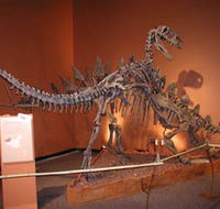 Denmark Dinosaur World - Accommodation Sunshine Coast