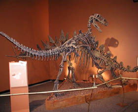 Denmark Dinosaur World - Accommodation Sunshine Coast 0