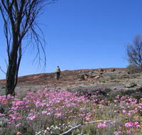 Talgomine Reserve - Accommodation Sunshine Coast