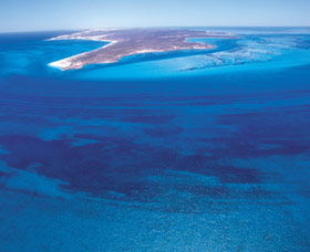 Dirk Hartog Island - Accommodation Sunshine Coast 0